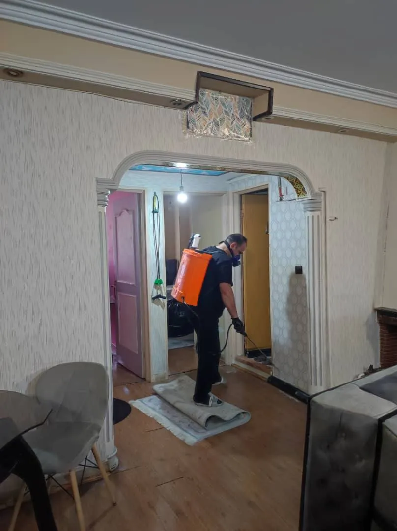 نمونه کار سمپاشی کرج